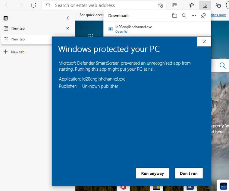 The expanded dialog showing the Run anyway button